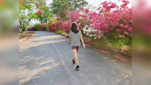 Small Steps, Big Heart: Science Reveals Simple Habits for Optimal Cardiovascular Health