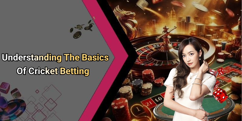 Understanding The Basics Of Cricket Betting