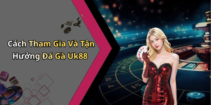 Cách Tham Gia Và Tận Hưởng Đá Gà Uk88