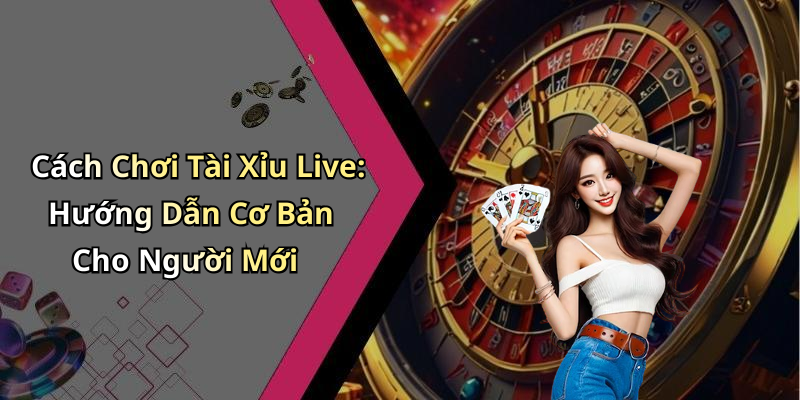 Cách Chơi Tài Xỉu Live: Hướng Dẫn Cơ Bản Cho Người Mới