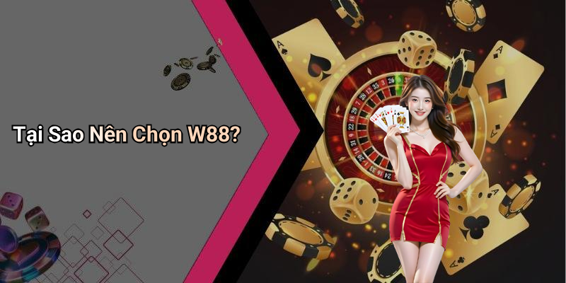 Tại Sao Nên Chọn W88?