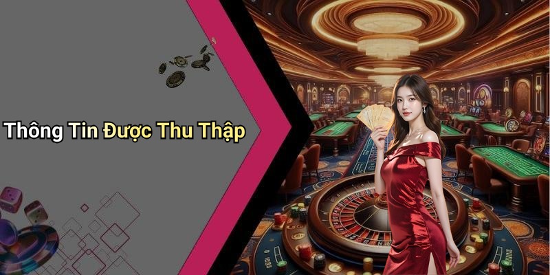 Thông Tin Được Thu Thập