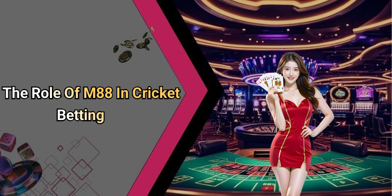 The Role Of M88 In Cricket Betting