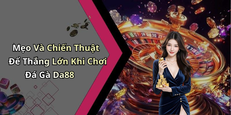 Mẹo Và Chiến Thuật Để Thắng Lớn Khi Chơi Đá Gà Da88
